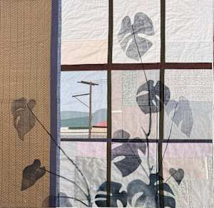 Window with Monstera