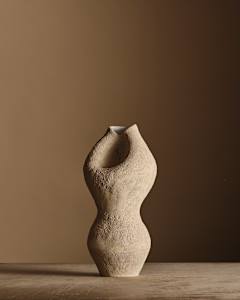 Vessel 25