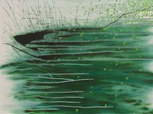 Pond