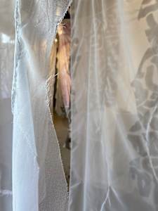 presencia a distancia