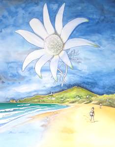 Floating Flannel Flower