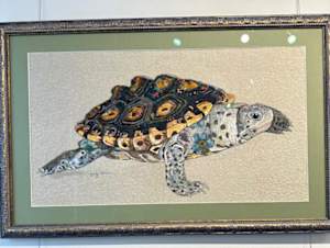 They Call me Mr. T !  Diamond Terrapin