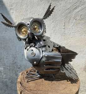 Wise Old Owl