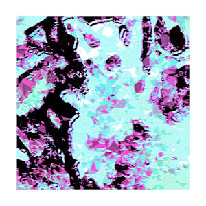 Funky Flowers, Flowers Edition Series  No. 82