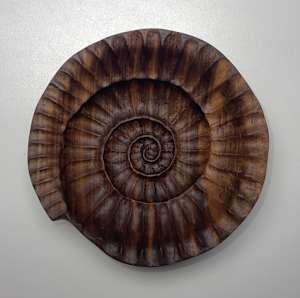 Ammonite Bowl