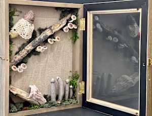 Mushroom Jewelry Case