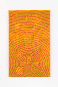 'Wormhole' from the Chesapeake Bay Impact Crater series