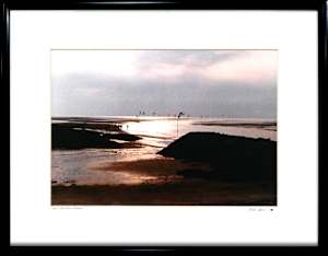 Low Tide at Rock Harbor Mass