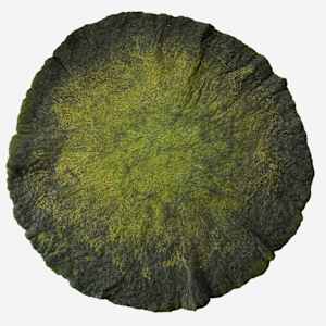 Mossy