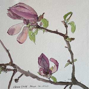 Magnolia Branch, March 26, 2023