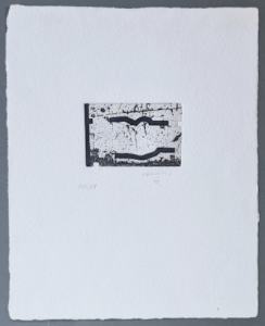 Clara Janes: La Indetenible Quietud # 5