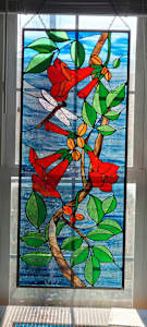 Dragonfly in the Trumpet Vine