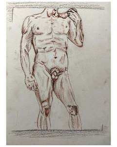 Anatomical Study @ Piazza Signoria