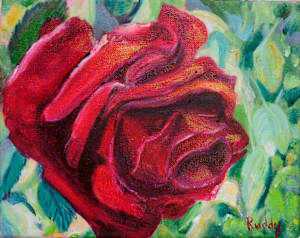 Red Velvet Rose