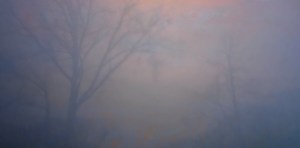 "Shroud"