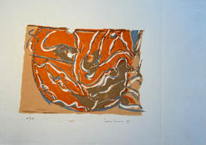 Topografia