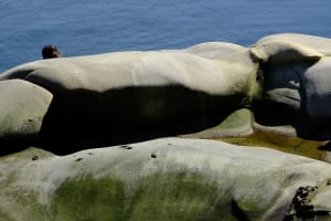 The Grandfather Series - Galiano Island 2019 - 8