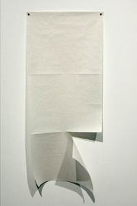 Paper Towel