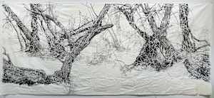 A Fragile Landscape
