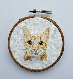 Orange Cat