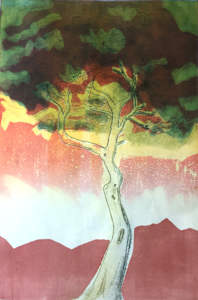 (Tree Portrait #10e) Sicilian Umbrella Tree V
