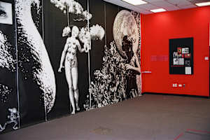 Genetics/Memetics: Art-o-matic, Washington, DC
