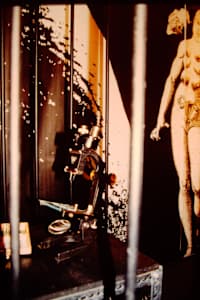 Genetics/Memetics: detail, a vintage microscope in a constructed jail.