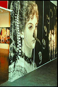Detail: (gallery entrance) Genetics/Memetics: Pirate Contemporary Art, Denver, CO