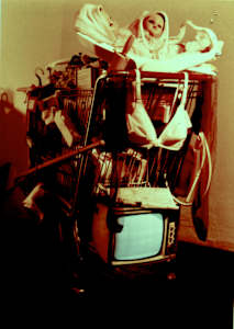 Hers, 1981, a collaborative installation with Menucha
