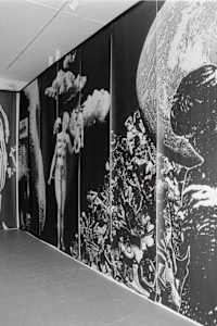 Genetics/Memetics, a room installation Pirate Contemporary Gallery, Denver, CO