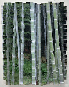 Bamboo Kyoto #1