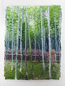 Bamboo Kyoto #3