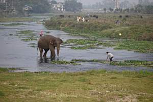 Life in Chitwan, Nepal