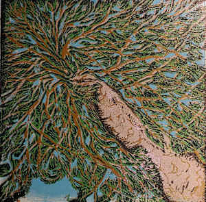 Looking Up Through the Branches