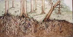 The Trees Hold Our Secrets