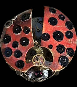 Time Ladybug Edelweiss