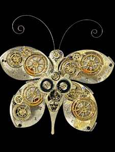 Butterfly of Time