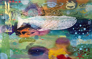 White Right Whale