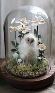 Innocence