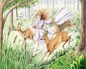 The Reed Nymph