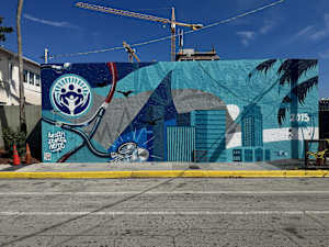 Wynwood Clinic Mural
