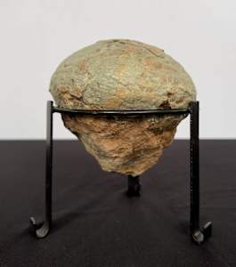 Dinosaur egg