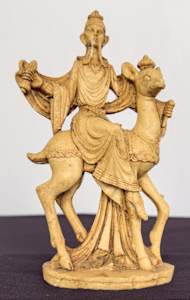 Male sitting on animal