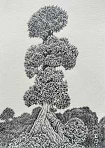 Emperor's Tree