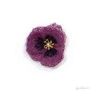 Opium Poppy