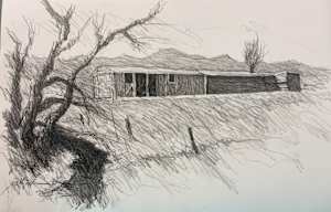 Barns