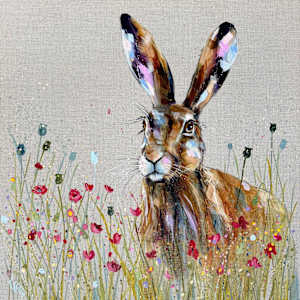 Meadow Hare