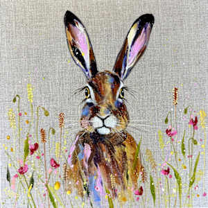 Little harvest hare