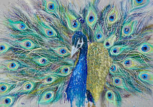 Ostentation
