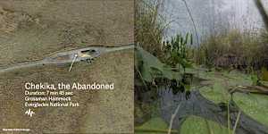 Everglades Soundwalks